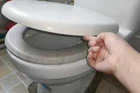 马桶不用时，到底要不要盖上盖子？好多人不懂，怪不得家里那么臭视频封面