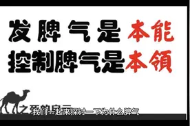 发脾气是本能，控制脾气是本领视频封面