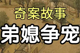 奇案故事:弟媳争宠视频封面