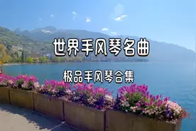 世界手风琴名曲 极品手风琴合集 迷人的旋律 充满
了无穷的魅力视频封面
