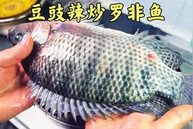 罗非鱼的吃法很多种，你们一定没有吃过这种做法，外焦里嫩视频封面