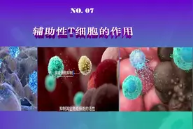 养生之道#免疫力#辅助性T细胞#NK细胞#淋巴细胞视频封面