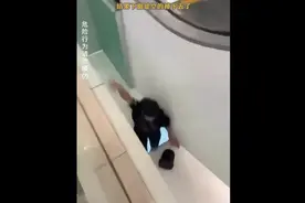 帽子掉在扶梯中间，小伙子跳下去捡帽子，结果下面是空的掉下去了视频封面