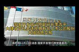 国家开发银行原副行长李吉平拥有非上市公司股份大搞钱色交易视频封面