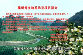 湖北省有关于油茶种植的补贴政策视频封面