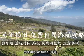 自驾云南元阳梯田，免费游玩攻略心得体会，打算自驾的朋友看过来视频封面