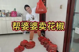 婆婆种的新花椒大丰收，儿媳妇帮着婆婆网上卖，没想到这么火爆！视频封面