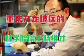 出生于重庆九龙坡区的科学院院士、中科院遗传与发育所所长杨维才视频封面