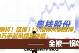 全剧终！连续11个涨停闪崩跌停，18万手封单焊牢地板，全被一锅端视频封面