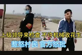 有省里领导来检查，不许机械收花生，村民怒斥，官方回应解气视频封面