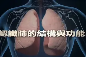 肺的结构与功能#医学科普 视频来自台湾大林慈济医院朱逸群医生
