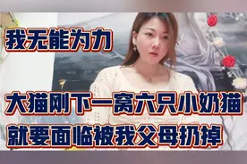 刚出生几天的小奶猫有六只，我父母要扔掉，我想回江西去阻止他们视频封面