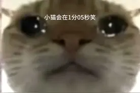 不是哥们视频封面