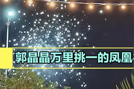 据面相分析师说，跳水皇后郭晶晶面相
犹如凤凰，是万里挑一。视频封面