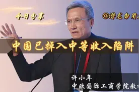 许小年：资本边际收益递减，是否已进入中等收入陷阱？视频封面