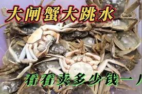 大闸蟹跳水了，10月24日看卖多少钱一斤，这价贵吗？视频封面