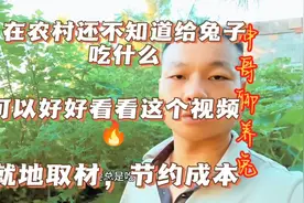 在农村还不知道给兔子吃什么的，可以好好看看这个视频，节约成本