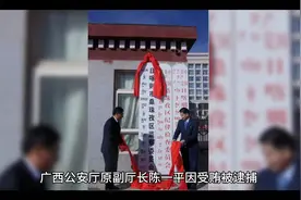 广西公安厅原副厅长陈一平受贿案宣判，正义不容玷污！视频封面