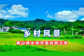 漫步在历史的印记中，我踏入了张发奎故居所在的小村庄—彩岭村视频封面
