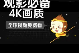 大师兄最新苹果版本视频封面