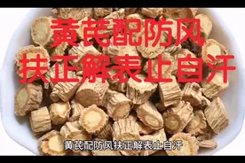 黄芪配防风扶正解表止自汗视频封面