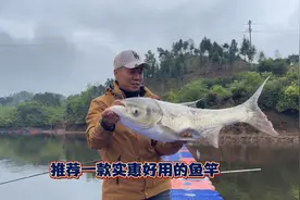 渔具店主推荐，出钓使用频率最高的鱼竿，价格实惠手感真的好视频封面