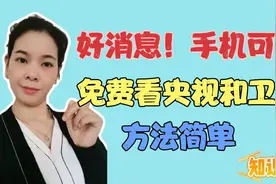 手机上可以免费看央视和卫视了，方法很简单，还可以同步到电视上视频封面