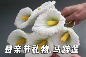 扭扭棒马蹄莲手工花朵花束教程 母亲节礼物diy 五一劳动节快乐视频封面