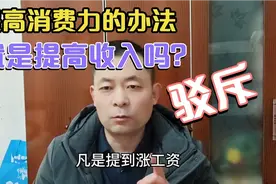 驳斥，提高消费力的办法，就是提高收入吗？视频封面