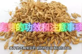 麦芽的功效和注意事项视频封面