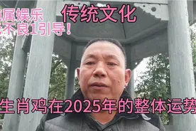 传统文化！生肖属鸡的在2025年的整体运势！视频封面