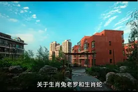 生肖兔和生肖蛇夫妻俩的生活视频封面