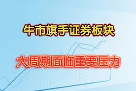 牛市旗手证券板块：调整中的反弹，中长线关注前高压力！视频封面