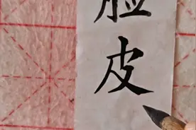 一位市委书记提出的“六皮”招商标语。引起社会广泛关注视频封面