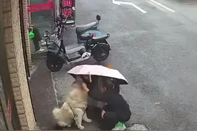 不要摸陌生的狗狗视频封面