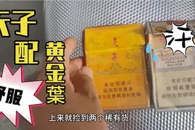 小叶子起大早捡烟卡，偶遇二合一稀有烟卡，天子配黄金葉，无敌了视频封面