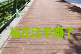 松花江平潮了。视频封面