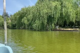 马未都：现今人伦之乱，令人堪忧视频封面