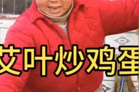 艾叶炒鸡蛋，止咳化痰，友友们它还有什么好处？
