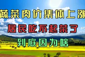 涨疯了！蔬菜肉价集体上涨，居民吃不起菜了，到底因为啥？视频封面