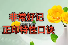 非常好记「正印特性口诀」