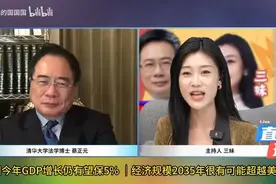 中国今年GDP增长仍有望保5%，经济规模2035年很有可能超越美国！视频封面