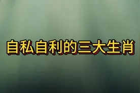 自私自利的三大生肖视频封面