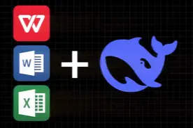 deepseek-r1接入wps或office word方法，不一样的办公效率神器视频封面