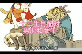 十二生肖配对男虎和女牛视频封面