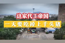 这个是深圳第二大代工厂，生产了90%的华为手机！视频封面