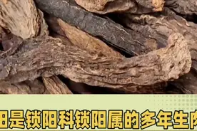 锁阳的功效与作用视频封面
