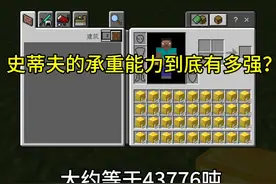 我的世界史蒂夫的承重能力到底有多强