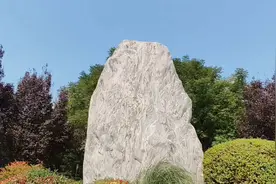 浐灞滋水公园，潺潺流水清彻，河岸边芦苇荡视频封面