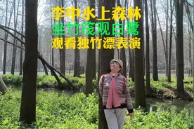 3月19号游兴化市李中水上森林，坐竹筏观白鹭观独竹漂表演，真爽视频封面